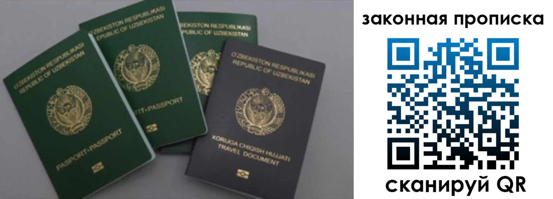 прописка законно в Асино